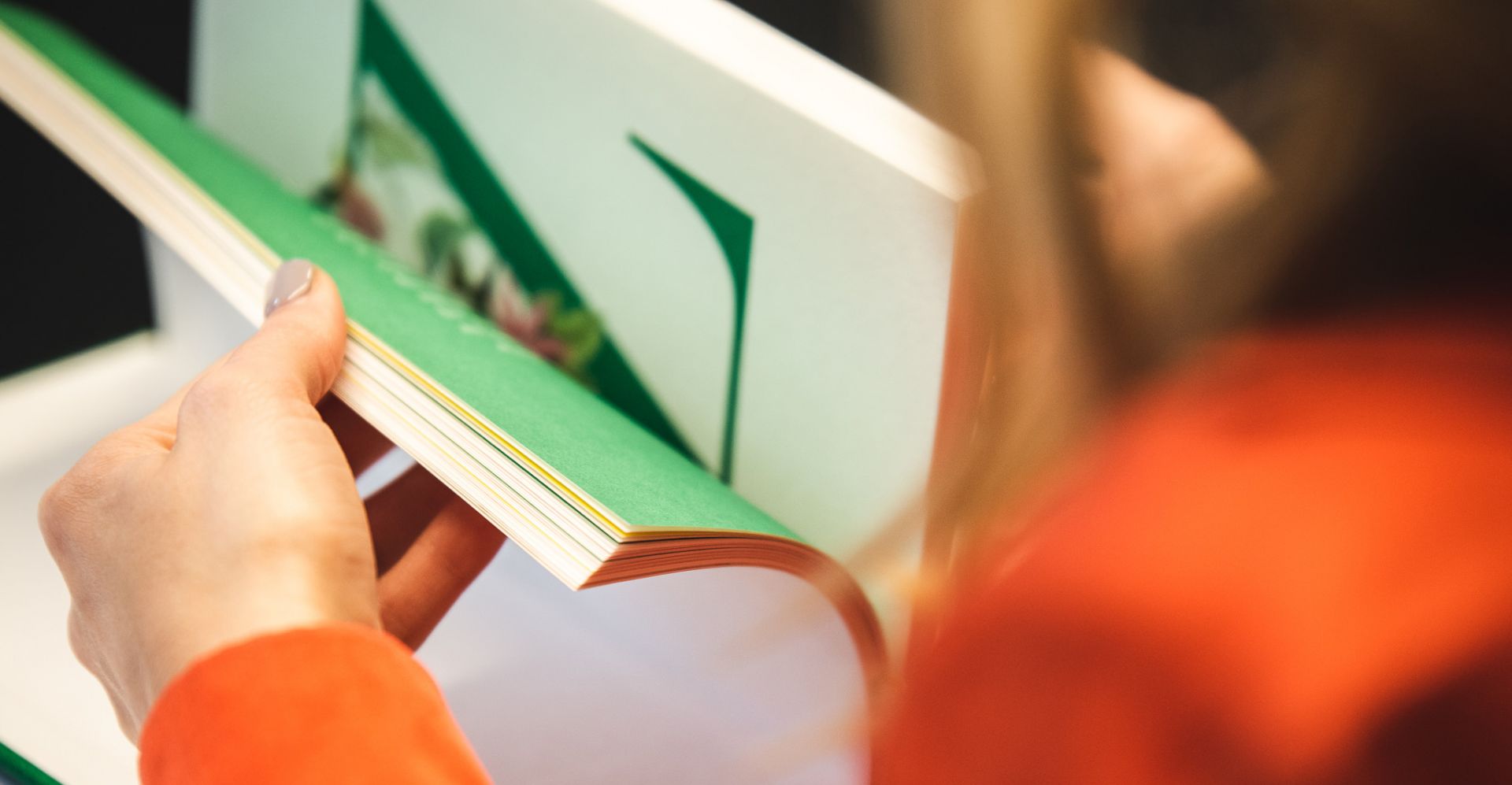 Hungarian Mentoring Program