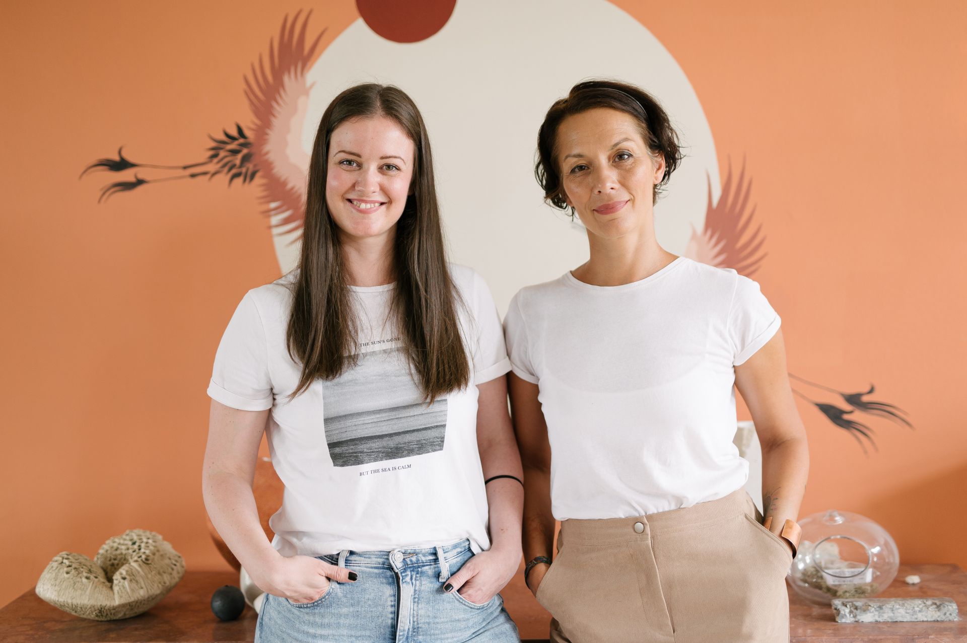 design START domestic mentoring program