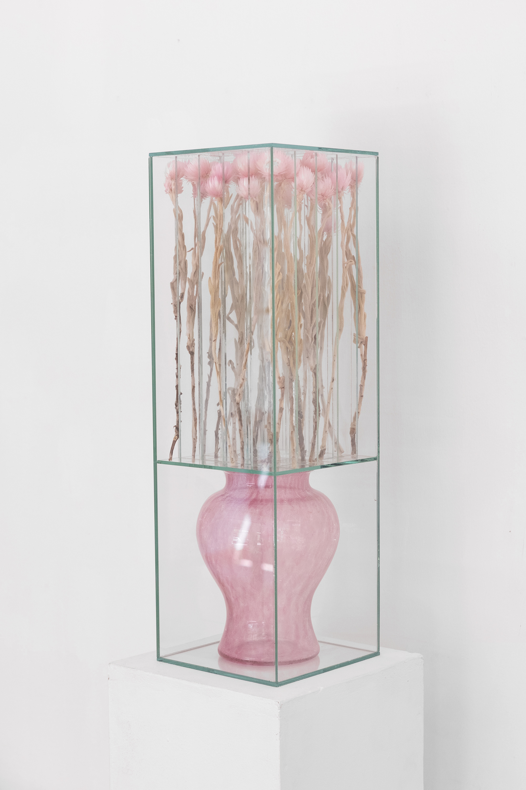 Creative_Hungary_Budapest_Select_Exhibition_Sándor_Körei_Pink_glass_vase_with_capblume.jpg